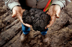 Tar sand mining gaining force Tar sand mining gaining force